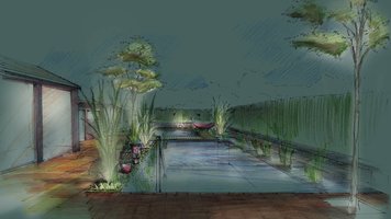  Perspektivzeichnung von Garten mit Schwimmteich und Holzdeck bei Nacht
